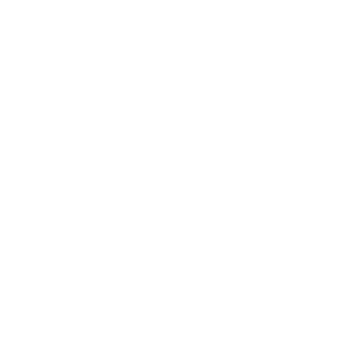 Phyris Skin Care Concept logo – luxury skincare brand